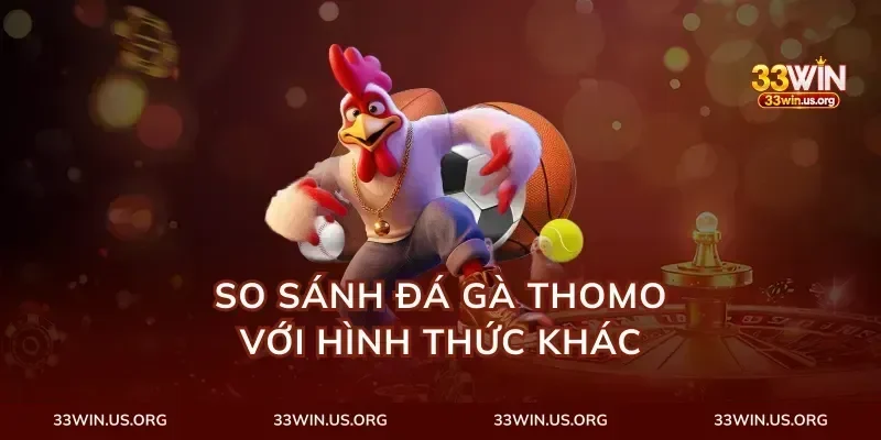So Sánh Đá Gà Thomo Với Hình Thức Khác