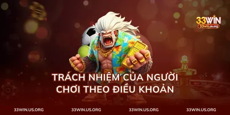 Trách Nhiệm Của Người Chơi Theo Điều Khoản