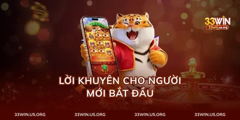 Lời Khuyên Cho Người Mới Bắt Đầu